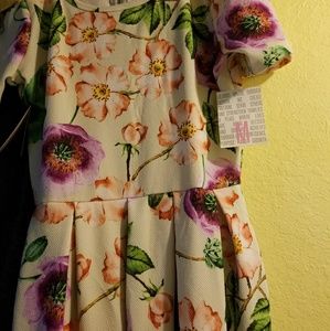 brand new lularoe medium Amelia floral nwt
